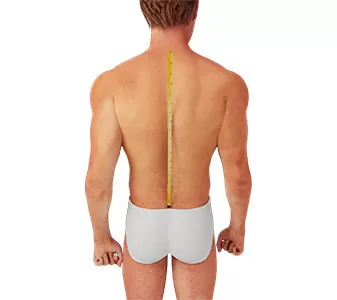 How to measure back length